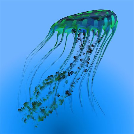 simsearch:400-07983570,k - The jellyfish is a predator of the oceans and feeds on small fish and zooplankton. Stock Photo - Budget Royalty-Free & Subscription, Code: 400-08344128