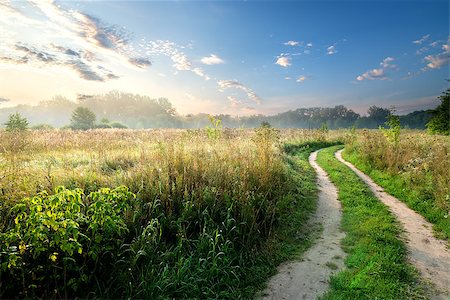 simsearch:400-08021784,k - Fog and sky over country road in the field Foto de stock - Super Valor sin royalties y Suscripción, Código: 400-08344431