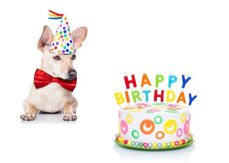 simsearch:400-08155906,k - chihuahua dog  hungry for a happy birthday cake with candles ,wearing  red tie and party hat  , isolated on white background Stock Photo - Budget Royalty-Free & Subscription, Code: 400-08345228