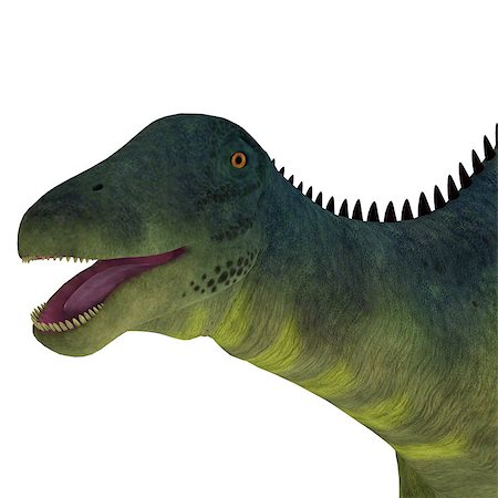 simsearch:400-08332007,k - Brachytrachelopan was a herbivorous sauropod dinosaur that lived in Argentina during the Jurassic Period. Foto de stock - Super Valor sin royalties y Suscripción, Código: 400-08347306