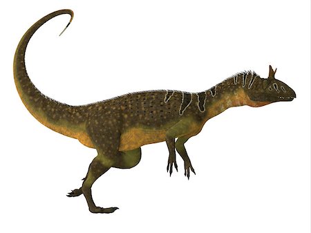 simsearch:400-08332007,k - Cryolophosaurus was a large theropod carnivorous dinosaur that lived in Antarctica during the Jurassic Period. Foto de stock - Super Valor sin royalties y Suscripción, Código: 400-08347314