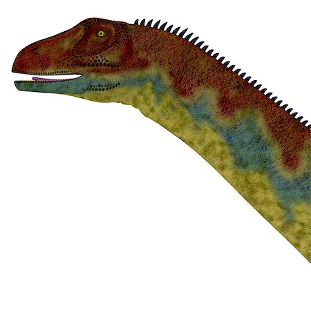 simsearch:400-08332007,k - Jobaria was a herbivorous sauropod dinosaur that lived in the Jurassic Period of the Sahara Desert in Africa. Foto de stock - Super Valor sin royalties y Suscripción, Código: 400-08347327