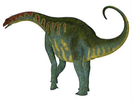 simsearch:400-08332007,k - Jobaria was a herbivorous sauropod dinosaur that lived in the Jurassic Period of the Sahara Desert in Africa. Foto de stock - Super Valor sin royalties y Suscripción, Código: 400-08347328