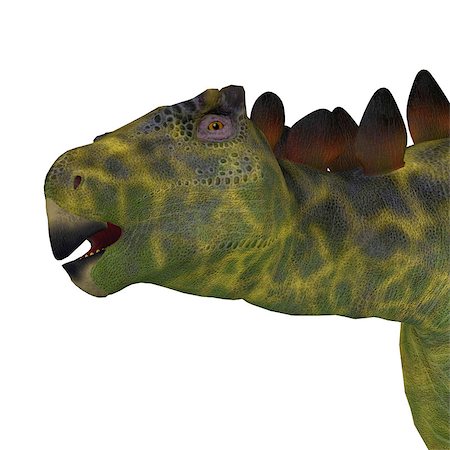 simsearch:400-08332007,k - Huayangosaurus was an armored herbivorous dinosaur that lived in the Jurassic Period of China. Foto de stock - Super Valor sin royalties y Suscripción, Código: 400-08347323