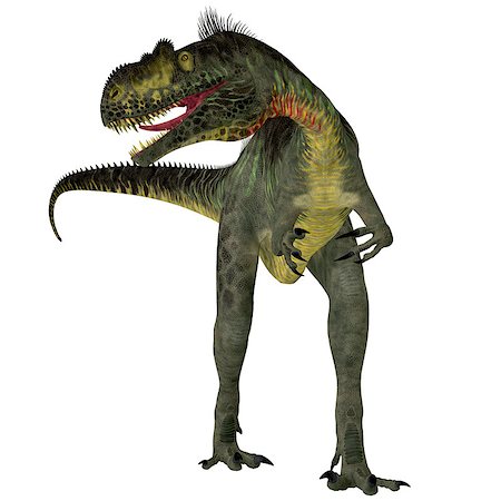 simsearch:400-08332007,k - Megalosaurus was a large carnivorous theropod dinosaur that lived in the Jurassic Period of Europe. Foto de stock - Super Valor sin royalties y Suscripción, Código: 400-08347334