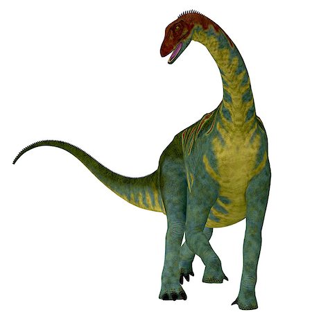 simsearch:400-08332007,k - Jobaria was a herbivorous sauropod dinosaur that lived in the Jurassic Period of the Sahara Desert in Africa. Foto de stock - Super Valor sin royalties y Suscripción, Código: 400-08347330