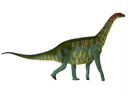 simsearch:400-08332007,k - Jobaria was a herbivorous sauropod dinosaur that lived in the Jurassic Period of the Sahara Desert in Africa. Foto de stock - Super Valor sin royalties y Suscripción, Código: 400-08347331