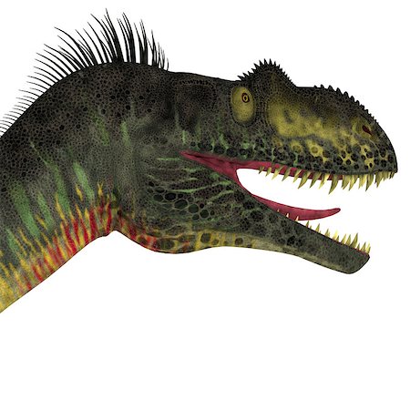 simsearch:400-08332007,k - Megalosaurus was a large carnivorous theropod dinosaur that lived in the Jurassic Period of Europe. Foto de stock - Super Valor sin royalties y Suscripción, Código: 400-08347332