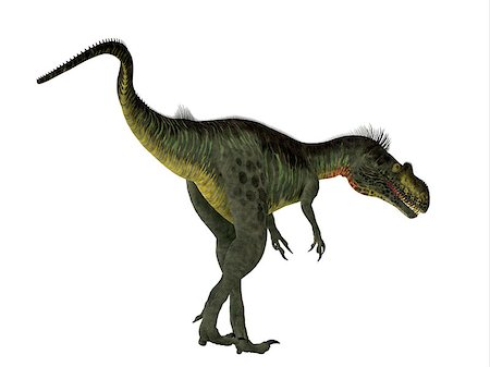 simsearch:400-08332007,k - Megalosaurus was a large carnivorous theropod dinosaur that lived in the Jurassic Period of Europe. Foto de stock - Super Valor sin royalties y Suscripción, Código: 400-08347333