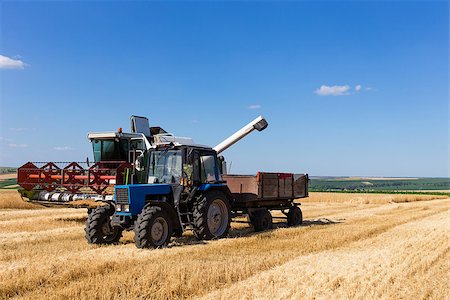 Harvest machine loading seeds in to trailer at summer day. Stock Photo - Budget Royalty-Free & Subscription, Code: 400-08347784