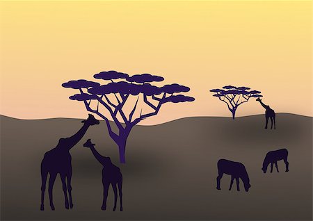 African animals graze on the savannah in the sunset. Stock Photo - Budget Royalty-Free & Subscription, Code: 400-08347788