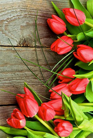 simsearch:400-08011307,k - Corner Frame of Beautiful Magenta Spring Tulips with Green Grass isolated on Rustic Wooden background Stock Photo - Budget Royalty-Free & Subscription, Code: 400-08347992