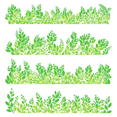 simsearch:400-07676525,k - Green leaves border isolated on white background. EPS 10 vector file included Stock Photo - Budget Royalty-Free & Subscription, Code: 400-08348079