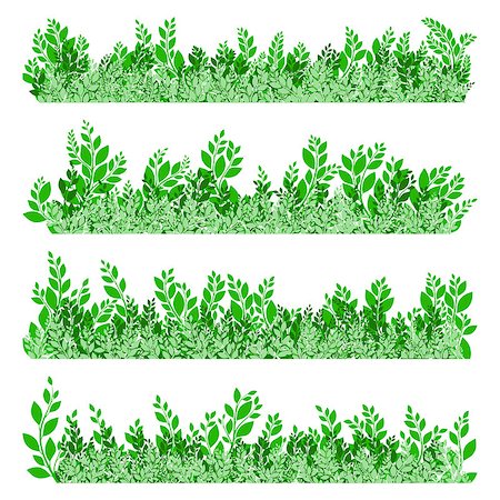simsearch:400-07676525,k - Green leaves border isolated on white background. EPS 10 vector file included Stockbilder - Microstock & Abonnement, Bildnummer: 400-08348080