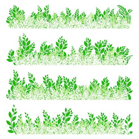 simsearch:400-07676525,k - Green leaves border isolated on white background. EPS 10 vector file included Stockbilder - Microstock & Abonnement, Bildnummer: 400-08348081