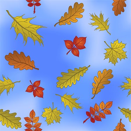 simsearch:622-06369308,k - Seamless nature background with autumn leaves of different plants flying over the blue sky. Vector Stock Photo - Budget Royalty-Free & Subscription, Code: 400-08348237