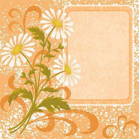simsearch:400-07421243,k - Floral holiday background with chamomile flowers and frame. Vector eps10, contains transparencies Stock Photo - Budget Royalty-Free & Subscription, Code: 400-08348475