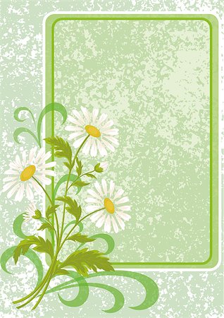 simsearch:400-07421243,k - Floral holiday background with chamomile flowers and frame. Vector eps10, contains transparencies Stock Photo - Budget Royalty-Free & Subscription, Code: 400-08348476