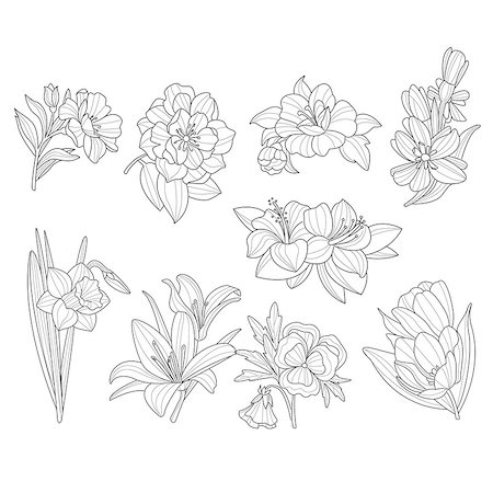 simsearch:400-08572511,k - Flower Collection. Hand Drawn Monochrome Vector Illustration Photographie de stock - Aubaine LD & Abonnement, Code: 400-08349198