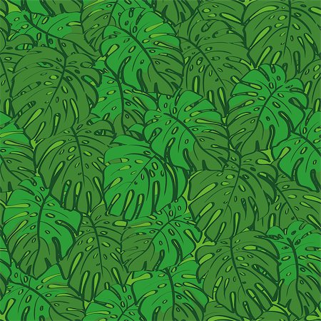 simsearch:400-08283888,k - Seamless background, pattern of green monstera plant leaves. Vector Stock Photo - Budget Royalty-Free & Subscription, Code: 400-08349697