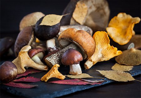 Mix of autumn wild forest edible mushrooms on black board Stockbilder - Microstock & Abonnement, Bildnummer: 400-08340057