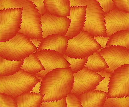 Vector colorful leaf seamless pattern background. Autumn template Stock Photo - Budget Royalty-Free & Subscription, Code: 400-08340155