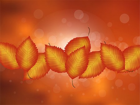 Vector colorful leaf autumn background. Colorful seamless pattern. Stock Photo - Budget Royalty-Free & Subscription, Code: 400-08340156