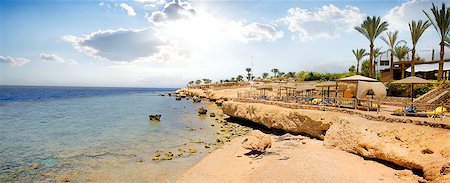 exotic and egypt - Coral reefs on beach of the Red sea Stock Photo - Budget Royalty-Free & Subscription, Code: 400-08340270
