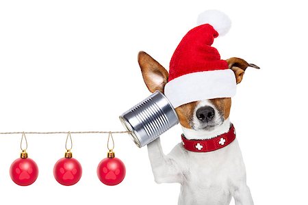 simsearch:400-07984991,k - jack russell dog listening carefully what you have to say hiding eyes under santa claus hat,  on the tin can telephone or phone, isolated on white background on christmas holidays Photographie de stock - Aubaine LD & Abonnement, Code: 400-08340567