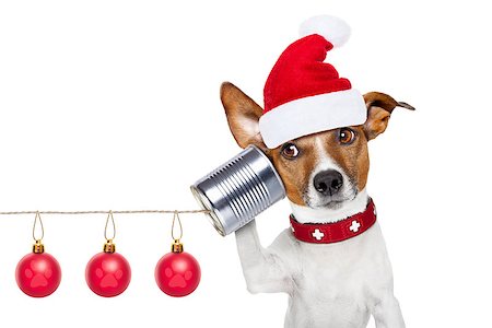 simsearch:400-07984991,k - jack russell dog listening carefully what you have to say   on the tin can telephone or phone, isolated on white background on christmas holidays Photographie de stock - Aubaine LD & Abonnement, Code: 400-08340568