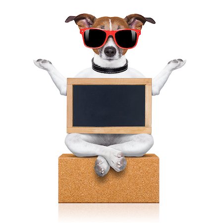 yoga dog posing in a relaxing pose with both arms open and closed eyes,while holding a blank empty placard or blackboard,  isolated on white background Stock Photo - Budget Royalty-Free & Subscription, Code: 400-08341175