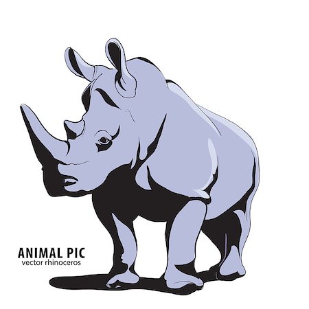 simsearch:400-04455503,k - Illustration of rino on white background Stock Photo - Budget Royalty-Free & Subscription, Code: 400-08341198