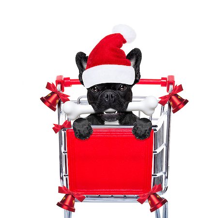 simsearch:400-08151278,k - santa claus dog in a shopping cart at christmas holidays, behind placard or banner , isolated on white background Photographie de stock - Aubaine LD & Abonnement, Code: 400-08341357