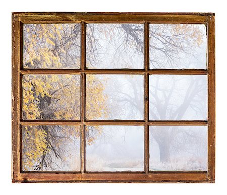foggy, nostalgic autumn park  - an abstract view from a vintage sash window Stock Photo - Budget Royalty-Free & Subscription, Code: 400-08342480