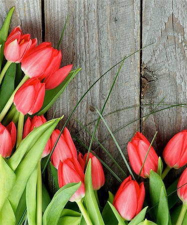 simsearch:400-08011307,k - Corner Border of Beautiful Spring Red Tulips with Green Grass closeup on Rustic Wooden background. Top View Stock Photo - Budget Royalty-Free & Subscription, Code: 400-08342621