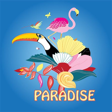 simsearch:400-04502346,k - Beautiful vector illustration of bird of paradise and plants Stock Photo - Budget Royalty-Free & Subscription, Code: 400-08342997