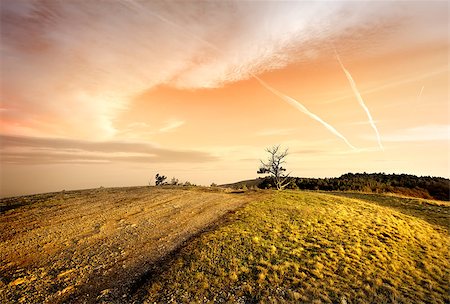 simsearch:400-07570603,k - Pink sunset and dry grass in autumn Stock Photo - Budget Royalty-Free & Subscription, Code: 400-08343516