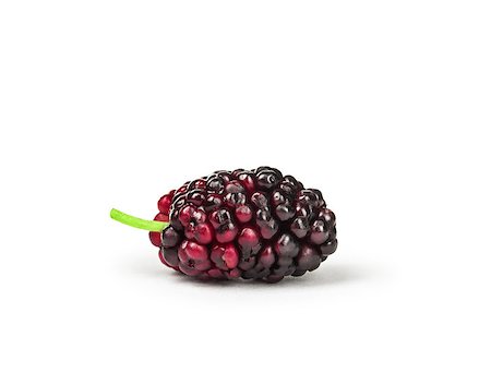 black mulberry isolated on white background Stock Photo - Budget Royalty-Free & Subscription, Code: 400-08374821