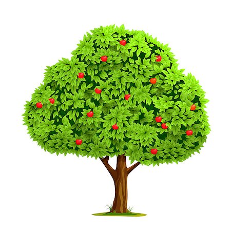 deniskolt (artist) - Apple tree with red apple isolated on white background. Vector illustration Foto de stock - Royalty-Free Super Valor e Assinatura, Número: 400-08374830