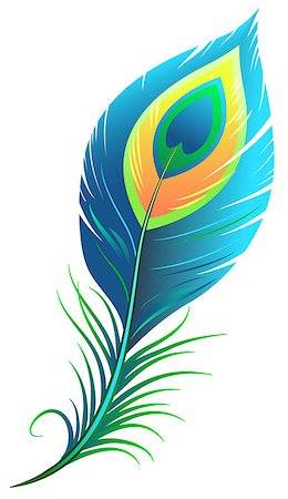 Peacock feather. Isolated illustration in vector format Foto de stock - Royalty-Free Super Valor e Assinatura, Número: 400-08375134