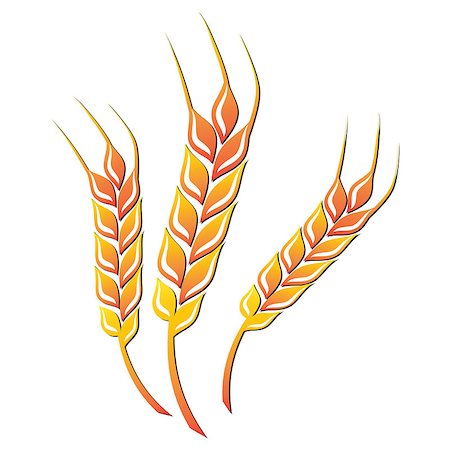simsearch:400-06918933,k - Wheat colored icon on white background. Vector illustration Photographie de stock - Aubaine LD & Abonnement, Code: 400-08376409
