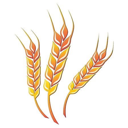 simsearch:400-06918933,k - Wheat colored icon on white background. Vector illustration Foto de stock - Super Valor sin royalties y Suscripción, Código: 400-08376409