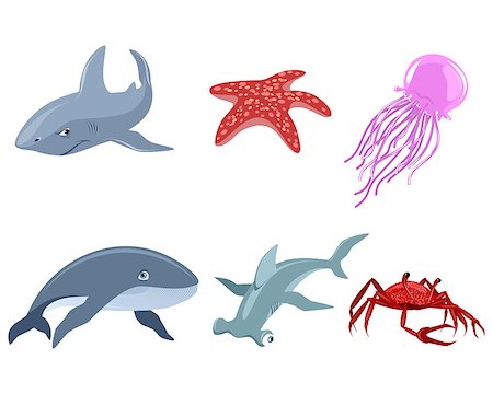 Vector illustration of a six marine inhabitants Foto de stock - Super Valor sin royalties y Suscripción, Código: 400-08376550