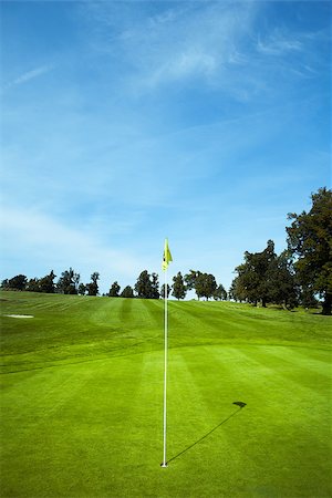 simsearch:400-03975619,k - yellow golf flag in green hole Stock Photo - Budget Royalty-Free & Subscription, Code: 400-08377510