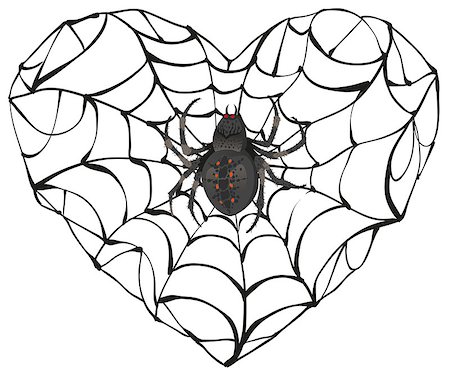 simsearch:400-08200203,k - Spider wove web of heart shape. Heart symbol of love. Gothic love heart. Isolated on white vector illustration Foto de stock - Royalty-Free Super Valor e Assinatura, Número: 400-08378291