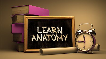 Learn Anatomy Concept Hand Drawn on Chalkboard. Blurred Background. Toned Image. 3d Illustration. Stock Photo - Budget Royalty-Free & Subscription, Code: 400-08378864