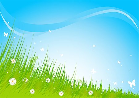 Summer grassy field and butterflies background Stock Photo - Budget Royalty-Free & Subscription, Code: 400-08379217
