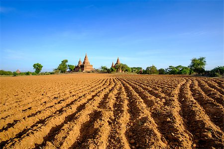 Landscape view of ancient temples and field with leading lines, Bagan, Myanmar Stockbilder - Microstock & Abonnement, Bildnummer: 400-08370879