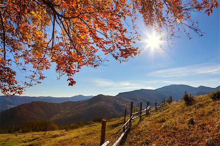 simsearch:400-08696882,k - Autumn Landscape - yellow  leaves over mountains valley, blue sky and real sun - beautiful fall season day Stock Photo - Budget Royalty-Free & Subscription, Code: 400-08371181