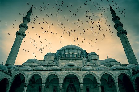 simsearch:640-06963127,k - Blue Mosque against dramatic sky with birds and clouds, Istanbul, Turkey Stock Photo - Budget Royalty-Free & Subscription, Code: 400-08371307